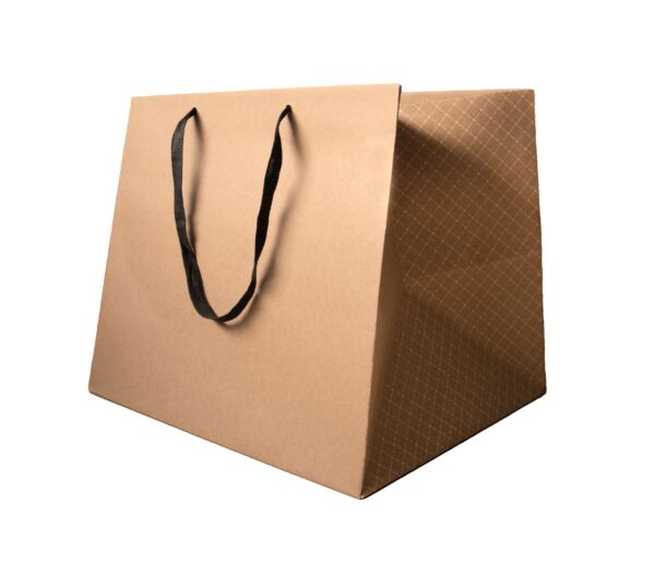 Cardboard bag Luxe with flat handles 380 + 310 x 320 mm naturel