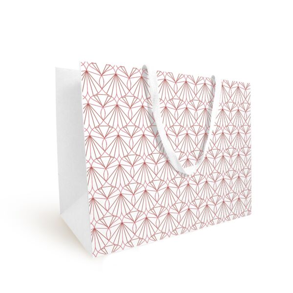 Cardboard bag Luxe with flat handles 250 + 100 x 220 mm argent