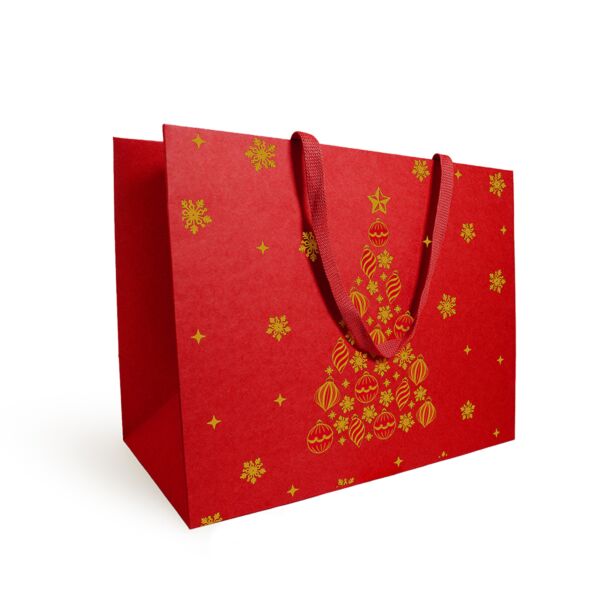 Sac en carton Luxe avec poignées plates 250 + 100 x 220 mm rouge