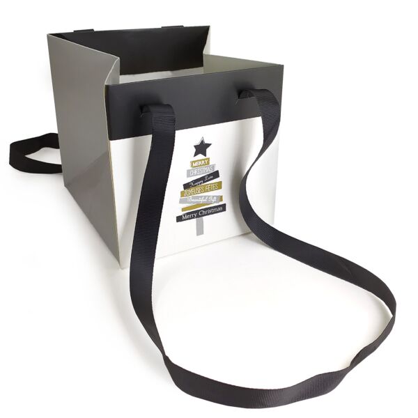 Sac carré en carton Majectic avec poignées ruban 170 x 170 x 170 mm multicouleur
