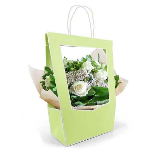 See-through cardboard bag Médaillon 140 x 230 x 380 mm vert