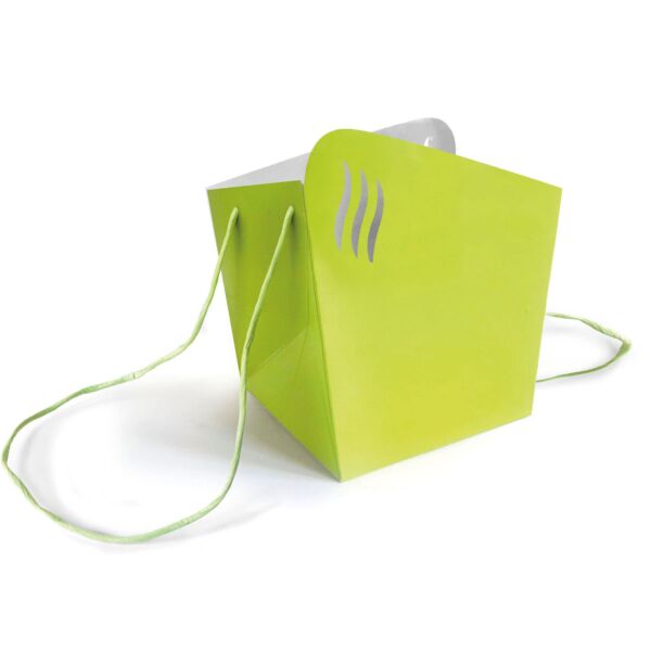 Water resistant cardboard bag Alagos for transport 145 x 170 x 145 mm vert