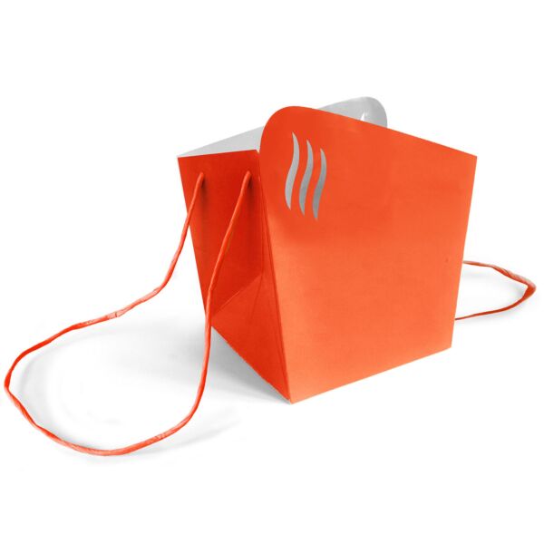 Water resistant cardboard bag Alagos for transport