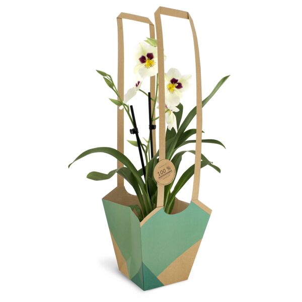 Bag Aqua Bio Sage Green - M - (11x11x19cm) 1TK