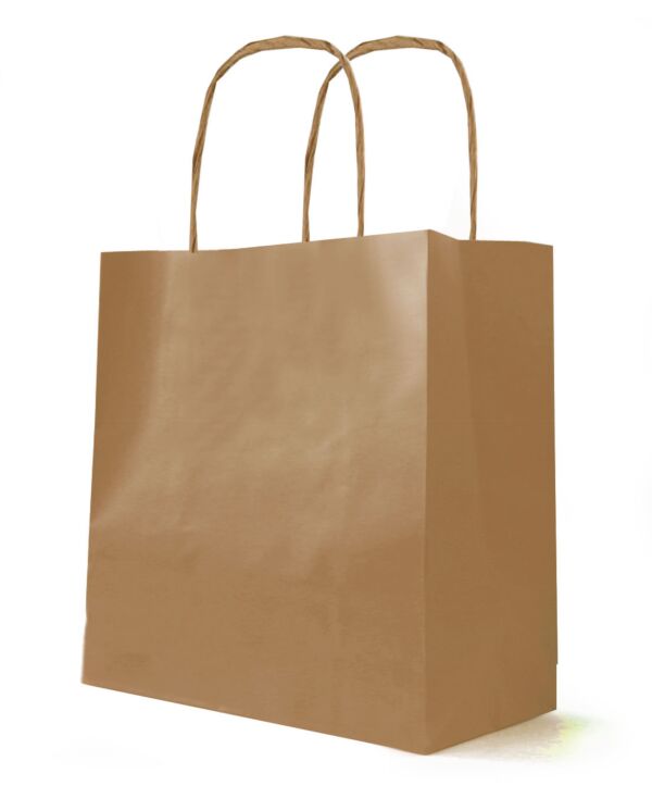 Sac kraft à poignées torsadées pour le transport 230 + 120 x 220 mm neutre Naturel