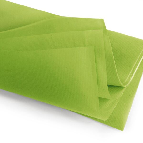 Rames de papier de soie résistantes à l'eau Sirius Ray 50x75 cm vert 17