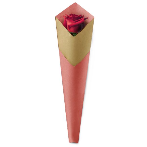 Straight sleeves - Unie 53x15x3.5 cm rose