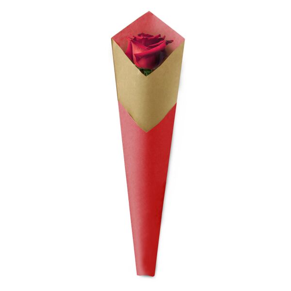 Straight sleeves - Unie 53x15x3.5 cm rouge