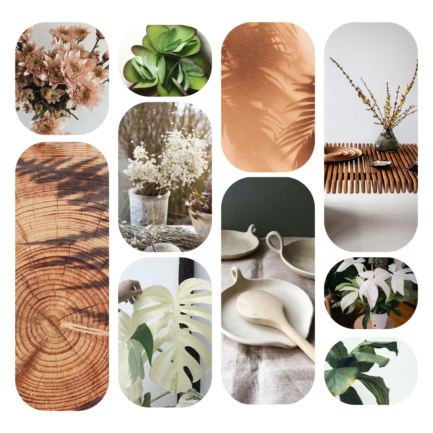 Terranatura : Tendance florale Automne-Hiver