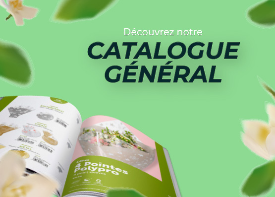 Découvrez NOS CATALOGUES