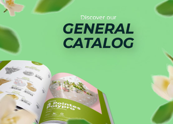 Découvrez NOS CATALOGUES